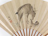 Stag Cleaning a Fawn, Mori Sosen (Japanese, 1747–1821), Fan, mounted on ribs; ink and light color on coated fan paper, Japan